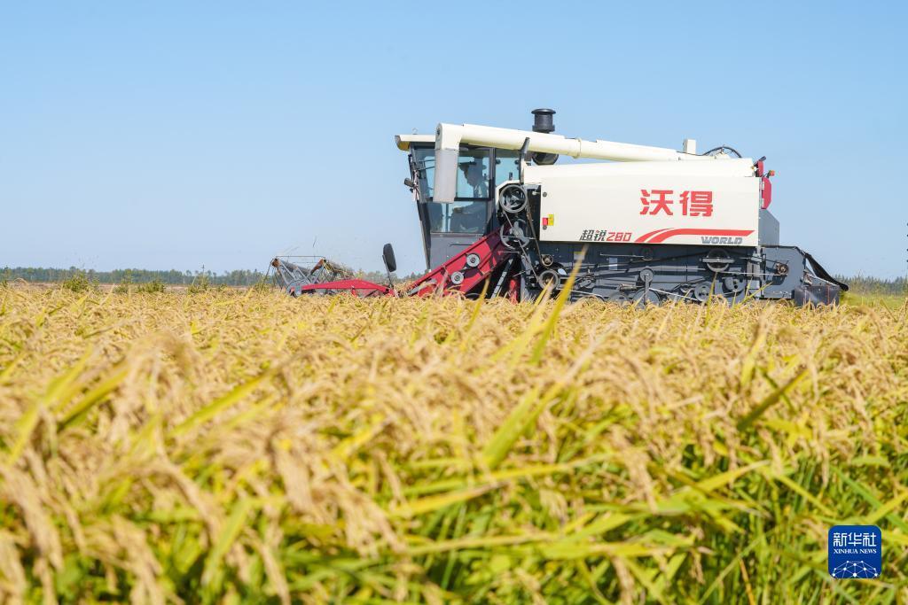 其乐老虎机游戏平台